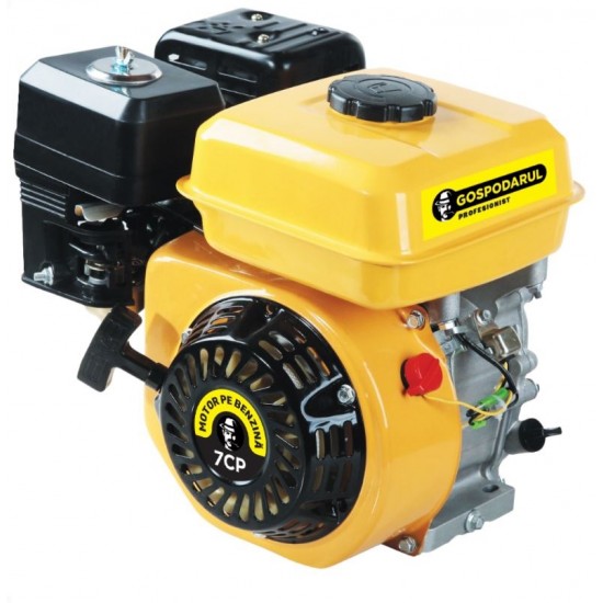 Motor benzina Gospodarul Profesionist 7CP