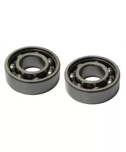 Set rulmenti Husqvarna 40-45-51-55-240-245