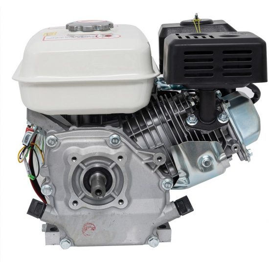 Motor pe benzina ALPIN 7CP