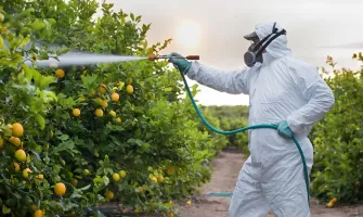 Cel mai bun atomizor Cel mai bun atomizor
