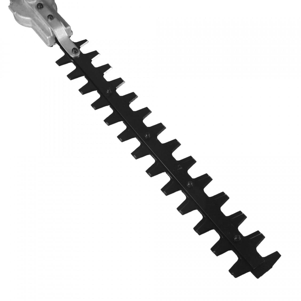 Chainsaw Accessories Accesoriu motocositoare pentru taiat gardul viu (R 28mm 9 dinti), Elefant