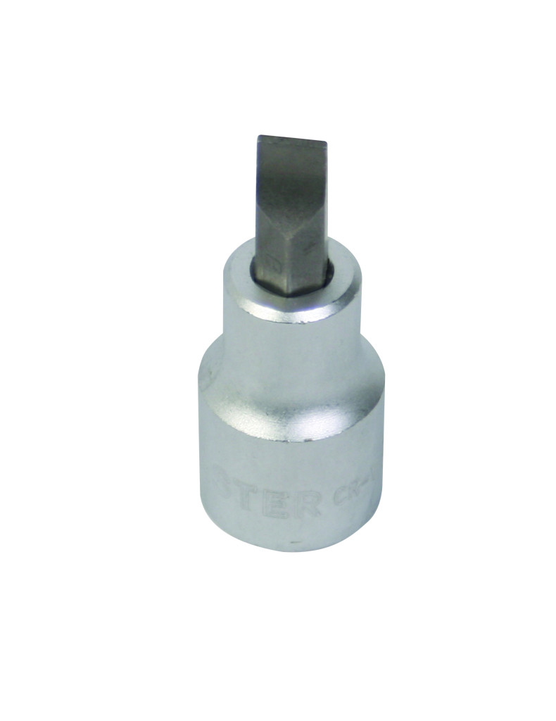 Top Master Pro Tubulara cu bit-drept 1/2" RE10x55mm Cr-V TM (18/180)