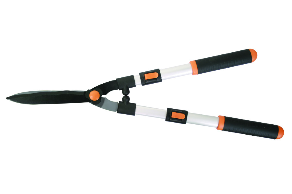 Gardening Forafeca gard viu 660-900mm TG