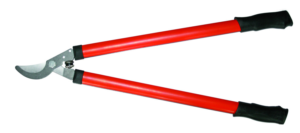 Gardening Foarfeca pomi manere 675mm TG